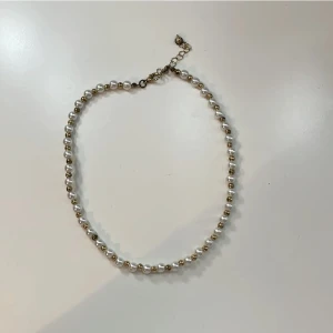 Pärlhalsband  - Pärlhalsband med guldfetsljer från shein, ge gärna prisförslag 