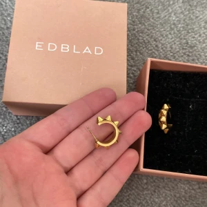 Guldiga Edblad örhängen  - Ordinarie pris: 399kr  tryck gärna på ”köp nu” Äkta!! Säljer i silver också BUDA!! 💞🙌