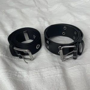 bälte - Två bälten, ett från H&M och ett från Weekday! Ett för 100kr och båda för 150kr