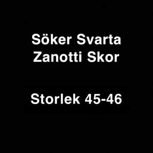 Söker Svarta Zanottis i färgen svart. Helst storlek 45-46