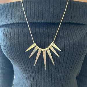 Guld halsband  - Ett guldhalsband som är unikt som inte många vågar att rocka, jag kanske blir det du som kan rocka denna?.