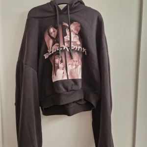 Blackpink hoodie - Säljer denna hoodie då den inte kommer till användning. Skicket är jätte bra. Storleken är oklar se bild 2 och 3. Jag har normalt storlek S.