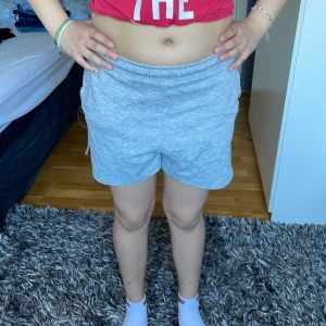 Gråa högmidjade mjukisshorts  - Snörerna är borta. Utklippta vid sidan. Sitter bra vid rumpan. Stretchiga