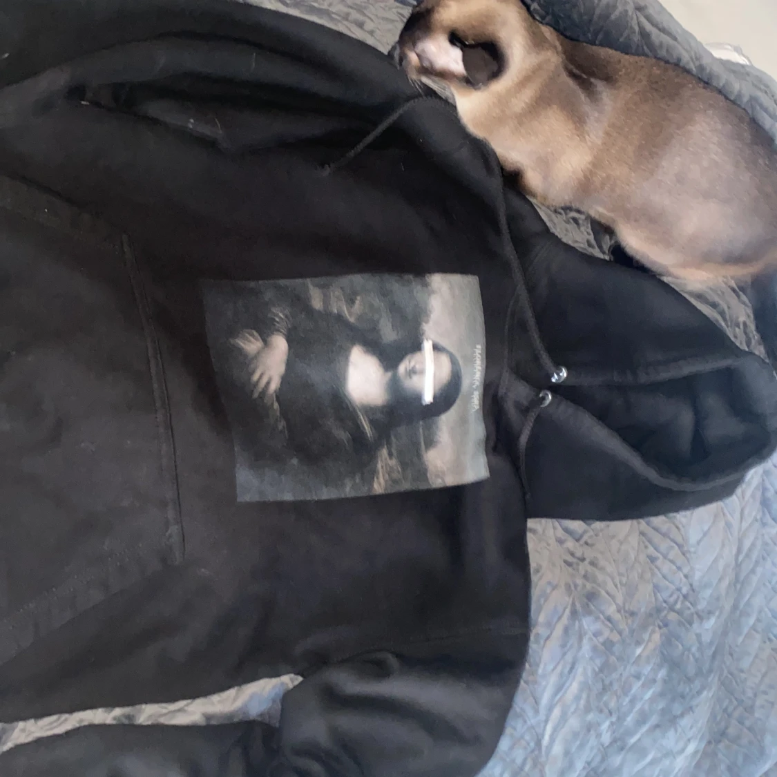 The cool elephant hoodie - 90