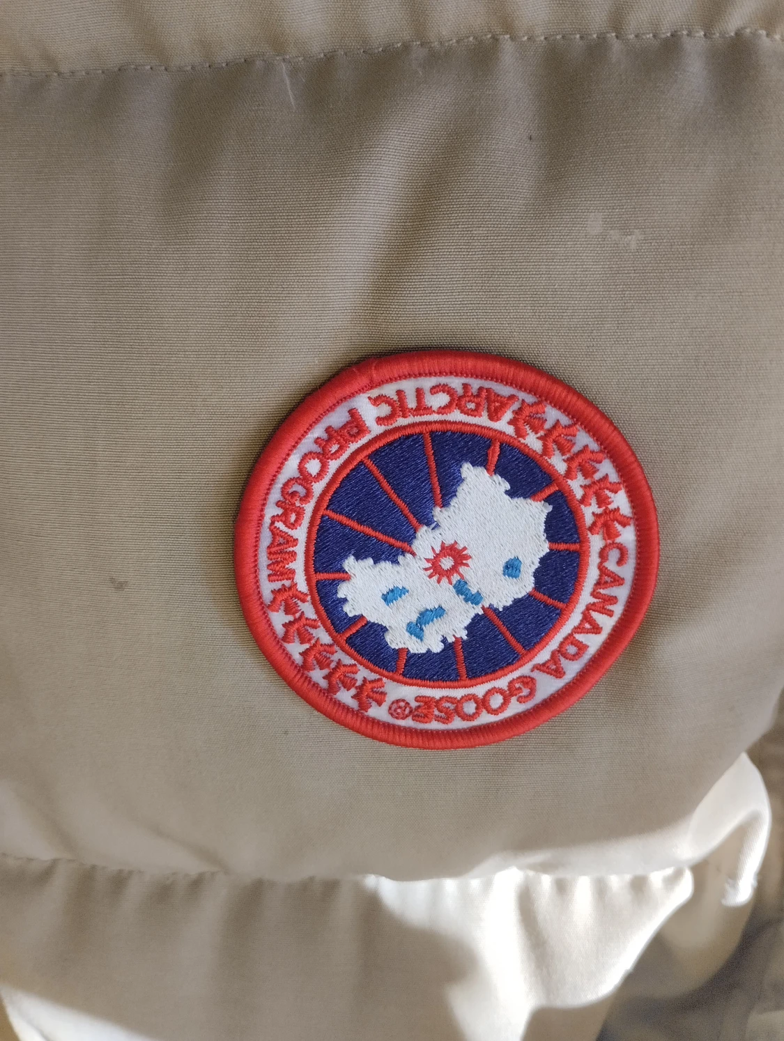 Canada goose  - 90