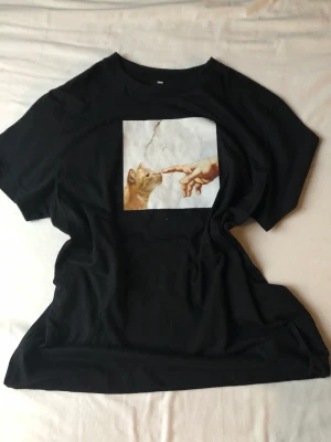 Oversized T-shirt  - Oversized T-shirt med motiv från Shein i mycket bra skick, har använt den endast en gång