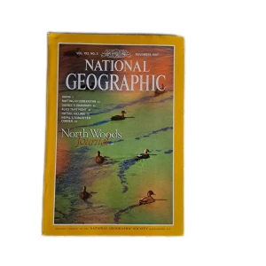 Tidningar - Har massa tidningar från National Geographic, finns planscher i många av dem. Man kan eventuellt klippa ut bilder toll pyssel eller inredning. Skicka pm vid intresse 💖