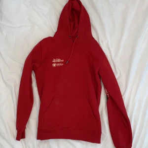 Tubbo moment merch hoodie  - Limited edition Tubbo merch som inte längre produceras av företaget. Köpt för 650kr+150kr frakt+ 130kr tull.   Mått: Längd (axel och neråt) : 71cm Bredd (sida till sida) : 52cm  Priset är diskuterbart