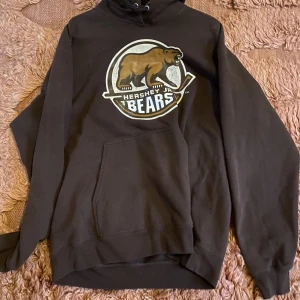 Hoodie brun  - Fin hoodie, för liten för mig.  Bra skick! 