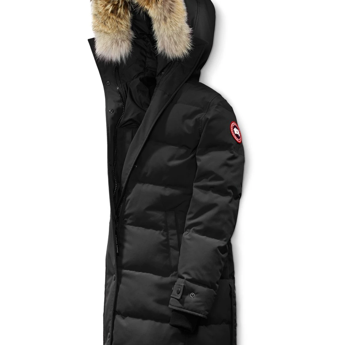 Canada goose Shelburne - 91