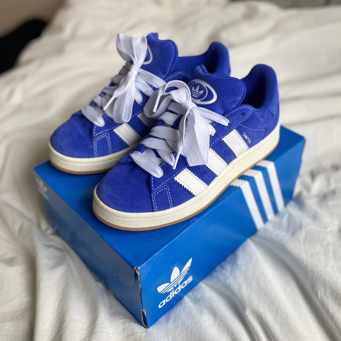 adidas campus 00s