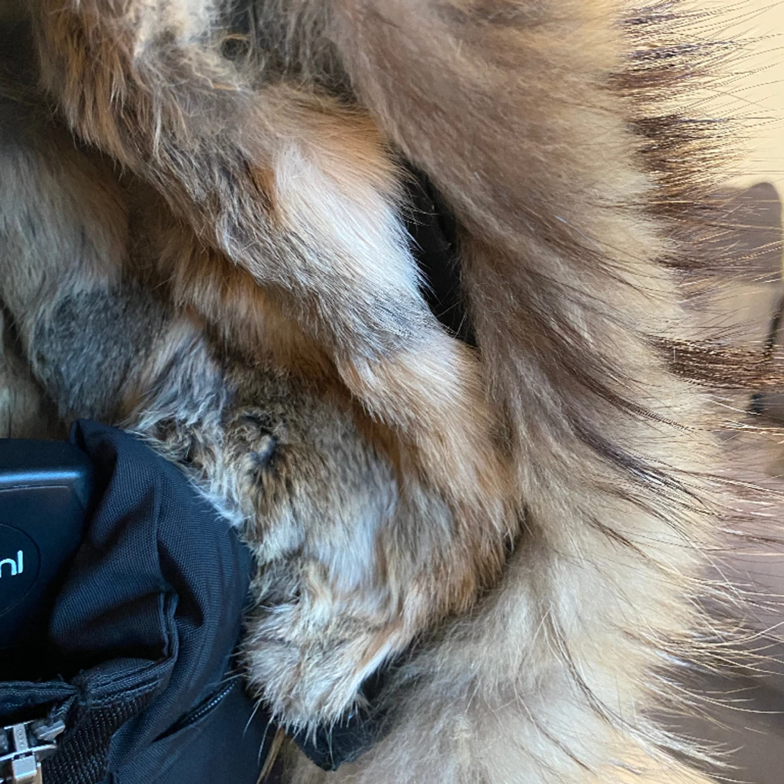 ROCKANDBLUE vinerjacka (Dam) (Svart) - 91