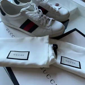 Gucci men ace leather sneaker Skick 8/10 Säljer för dom inte passar  Lite crease Smustig sula Box o dust bag finns