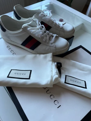 Gucci sneakers - Gucci men ace leather sneaker Skick 8/10 Säljer för dom inte passar  Lite crease Smustig sula Box o dust bag finns