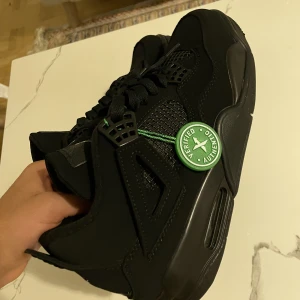 Airjordans 4 black cats  - Helt nya airjordans väldigt feta, X-tag kvar och allt!