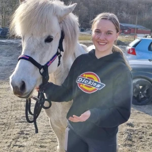 Dickies hoodie  - Den är bra skick ingan snören kvar dock men helt utan hål lite slitet tryck men inte mkt ny pris 700