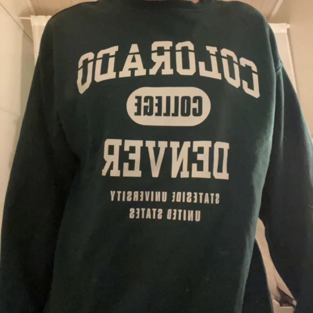 Säljer denna gröna sweatshirt ifrån hm då den inte längre används. Jag står ej för kostanden på frakten.. Hoodies.