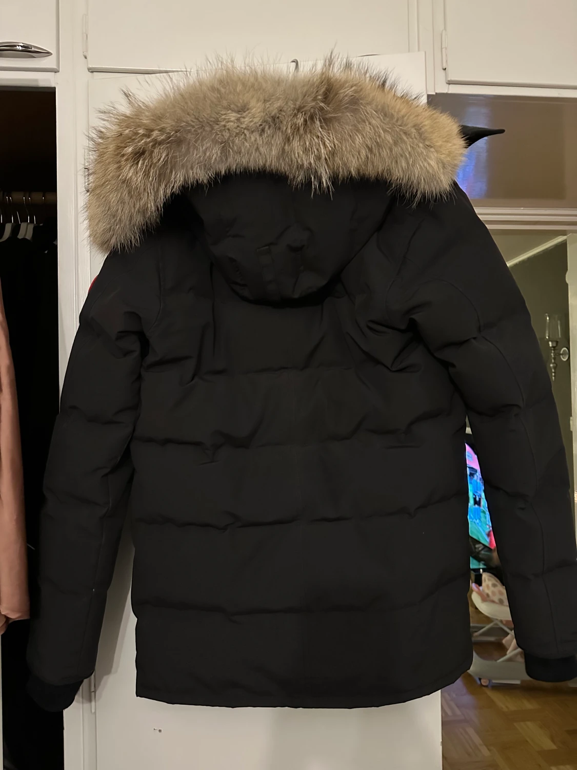 Canada Goose  - 90