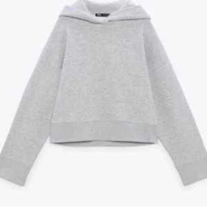 Zara hoodie - Säljer min gråa zara hoddie, använd några gånger!! Många intresserade blir de bud!