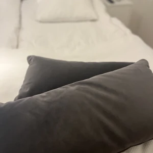 Sammet kuddar  - Två kuddar i nyskick i sammet