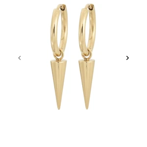 Guld örhänge Edblad  - Säljer eftersom de inte används, alldeles som nya. + frakt om man inte köper via ”köp nu”