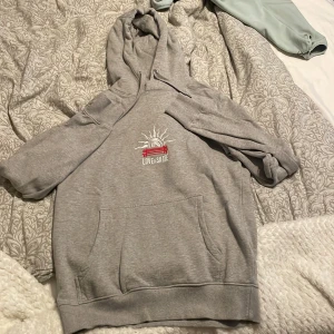 LOVEnSKATE hoodie - En grå lovenskate hoodie använd ett få antal gånger och har inga defekter. Pris kan diskuteras