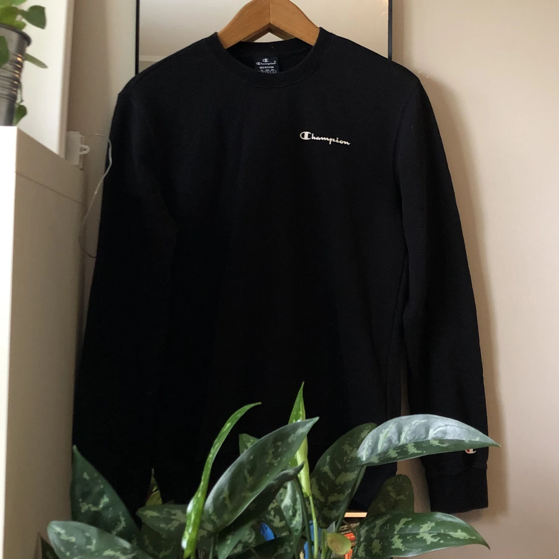 Champion sweatshirt 