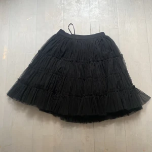 Kjol - Tyllkjol, fint skick, köpt från eBay 