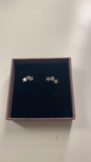 Oanvända Edblad örhängen 🔥🔥 - Säljer jätte gulliga oanvända Edblad förhängen. ❣️ 