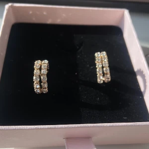 Guldörhängen  - Säljer mina as fina guldörhängen!! Helt oanvända. Säljer då dom intr passa mig. 