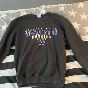Champion vintage sweatshirt  - Washington huskies sweatshirt, vintage, fint skick 