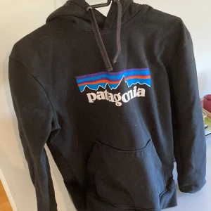 patagonia hoddie - grymt skick, sällan använd, strorlek S