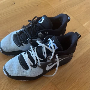 Kd 15 strl 44 - Använda men i bra skick Hittar inte lådan  Skick 7/10 Köpta från Nike 