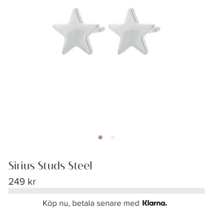 Edblad örhängen  - Säljer dessa örhängen🩷