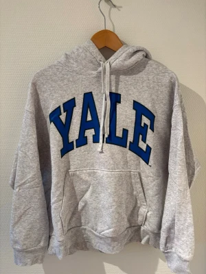 YALE Hoodie - YALE Hoodie från H&M, grå med blått tryck🩶💙Storlek S