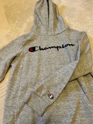 Hoodie  - Jätte fin bekväm tröja storlek L men den har blivit lite liten så det har blivit till storlek S