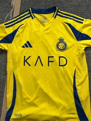 Gul Al Nassr matchtröja från Adidas - Snygg gul matchtröja från Adidas för Al Nassr FC med blå detaljer och klubbmärke på bröstet. Tröjan har V-ringning, blå ränder på axlarna och är tillverkad i lätt funktionsmaterial. Perfekt för fotbollsträning eller att bära som supporter.