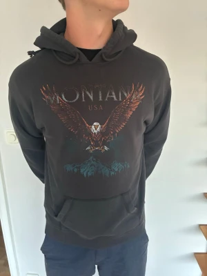 Hollister Hoodie - Hollister Hoodie Herr|Pris:399kr|                 Storlek:M, modell:M|Skick:Mycket bra, 9/10|    Hör av dig vid minsta lilla fundering eller fråga|
