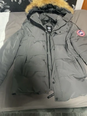 Canada goose  - Storlek M
