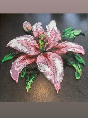 Stor pärlplatta blomma - En stor pärlplatta i blomma 