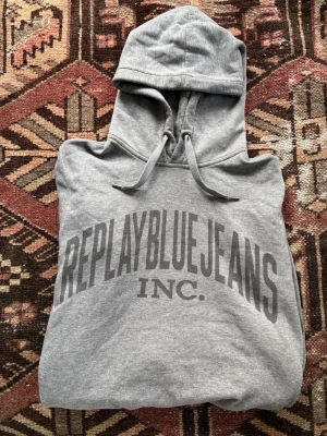 Grå hoodie från Replay Blue Jeans - Snygg huvtröja med tryck på 