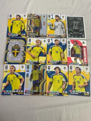 Kontakta mig för pris - Sverige kort panik vm.
