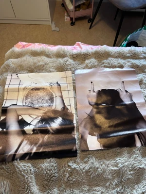 Två svartvita posters med motiv - Lite vikta men de går att fixa Säljer två svartvita posters med konstnärliga motiv. Den ena visar en person vid en toalett och den andra en person som gör rocktecken med båda händerna. Båda har en modern, rå känsla och passar perfekt som dekoration i sovrum eller vardagsrum.