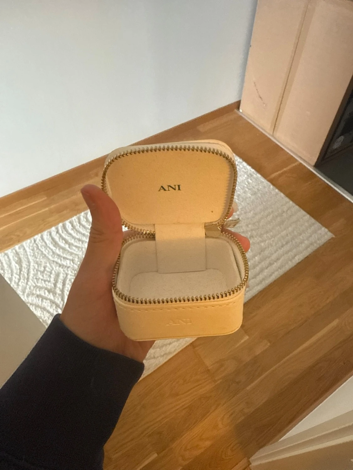 Ani smyckesskrin