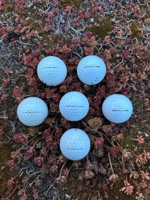 6 vita Titleist golfbollar Pro V1 - Säljer Titleist Pro V1 golfbollar i bra skick.                     Perfekta för dig som vill ha riktigt bra golfbollar till en avsevärt billigare peng!  Skickar snabbt och packar ordentligt!                             (Tvättar även dem noggrant)                                                                                                        Hör gärna av dig om du har några frågor!