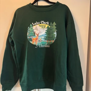 Grön sweatshirt Lake Clark Daisy Street - Mysig grön sweatshirt från Daisy Street med tryck av Lake Clark National Park, Alaska och motiv av skog och hjort. Rund halsringning och avslappnad passform. 