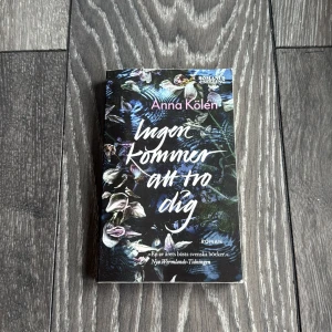 Ingen kommer att tro dig - En samtida roman om Daphne som söker sin plats i livet och litteraturvärlden. Perfekt för unga vuxna som gillar starka berättelser om kärlek, identitet och att hitta sig själv i storstaden. En av årets mest hyllade svenska böcker.