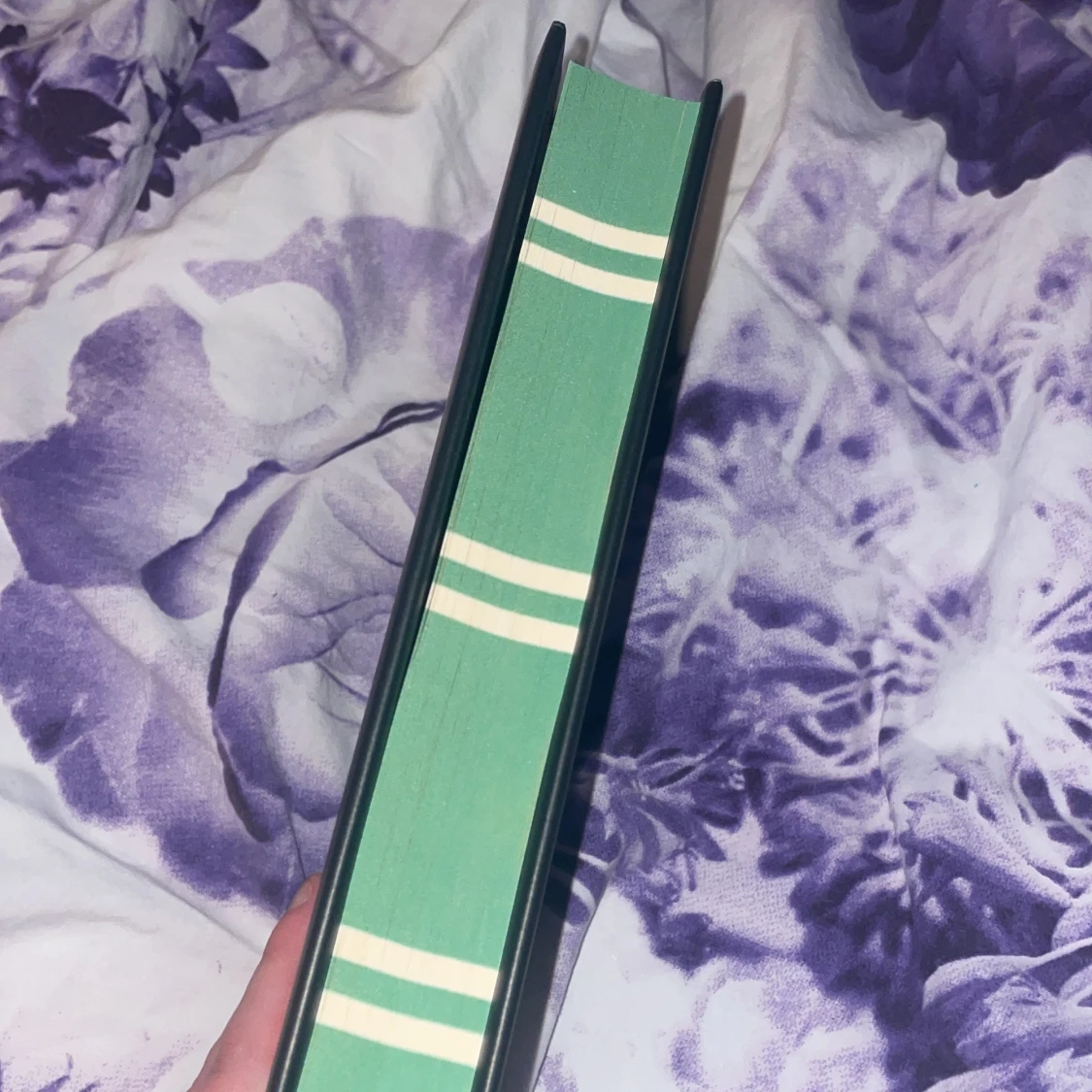 Harry Potter and the Philosopher's Stone (Slytherin Edition) - 1