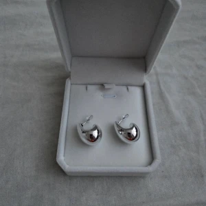 Chunky örhängen - Säljer ett par chunky örhängen.