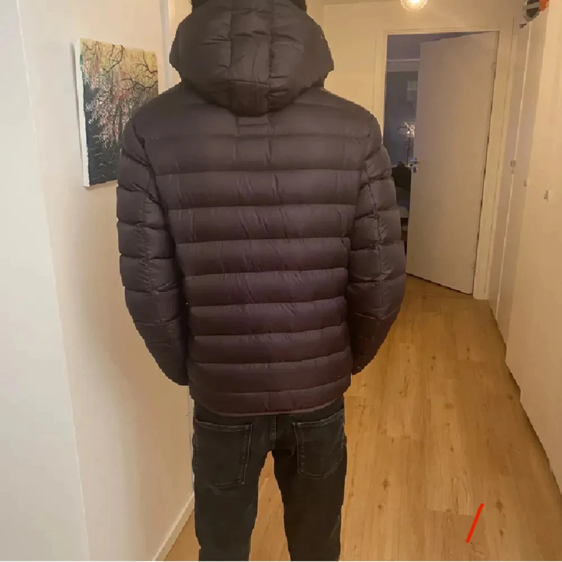 Colmar vår jacka - 1